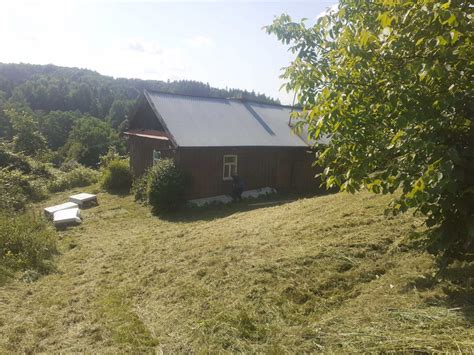 domy na sprzeda wielopole skrzyskie|Nieruchomości Wielopole Skrzyńskie [Bez pośredników]